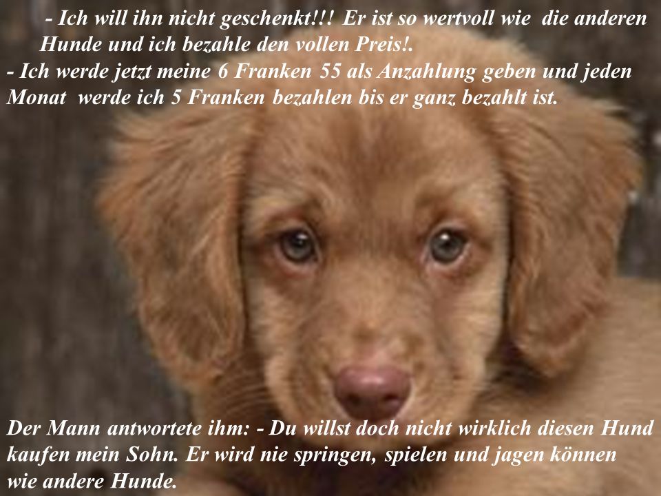soll ich ihn kennenlernen soll ich ihn kennenlernen